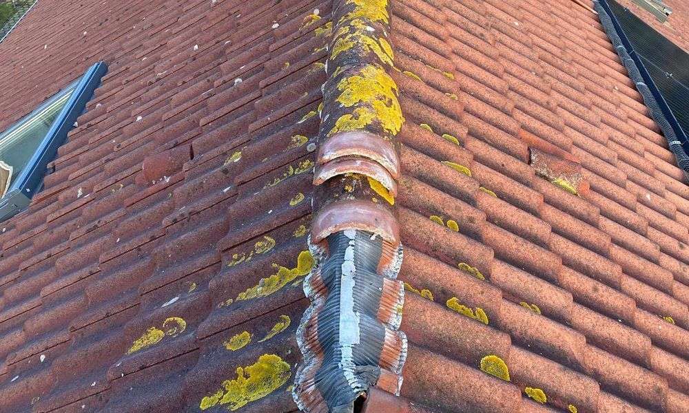 Inspectie van een pannendak en nokvorsten